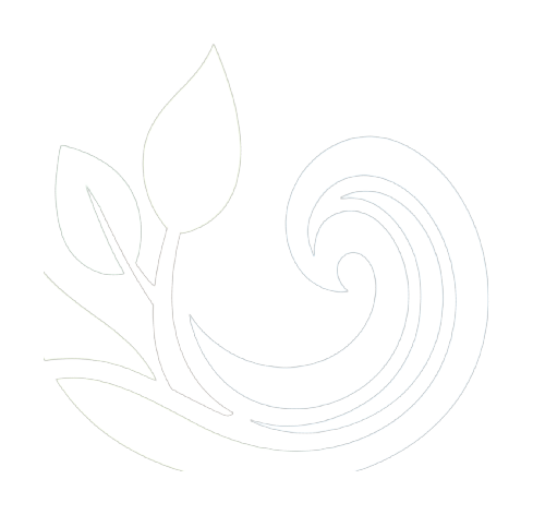 Tosi Multiservice logo